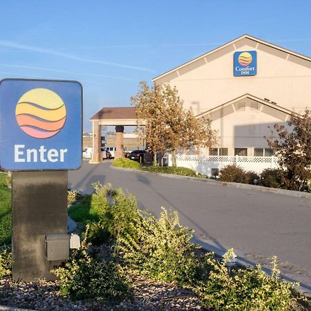 Comfort Inn Garden City Eksteriør billede