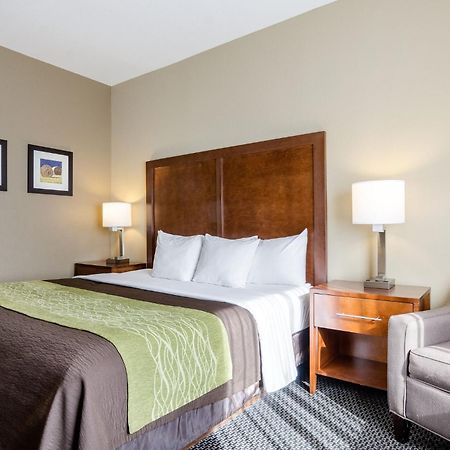 Comfort Inn Garden City Eksteriør billede