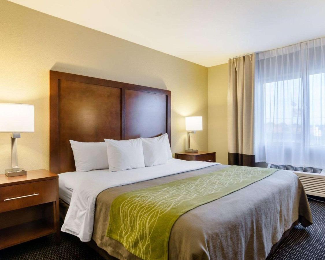 Comfort Inn Garden City Eksteriør billede