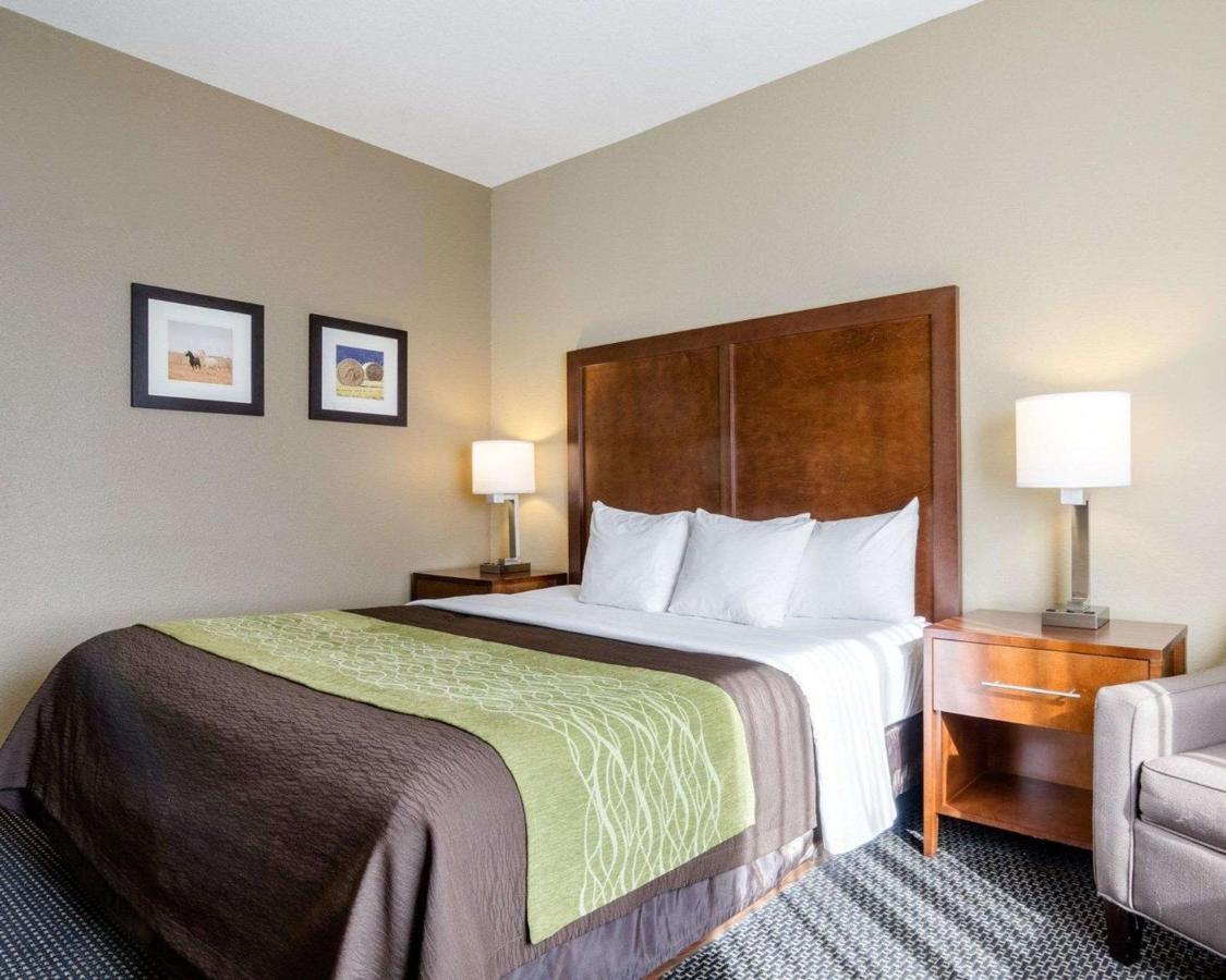 Comfort Inn Garden City Eksteriør billede