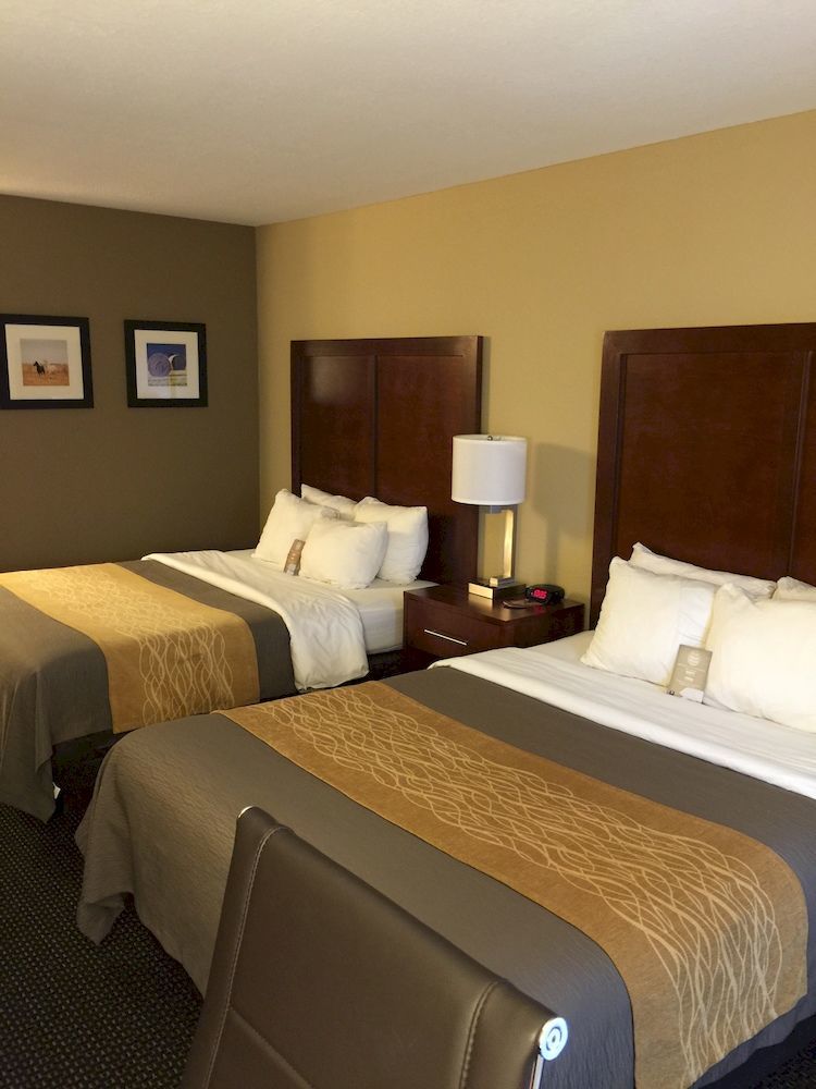 Comfort Inn Garden City Eksteriør billede